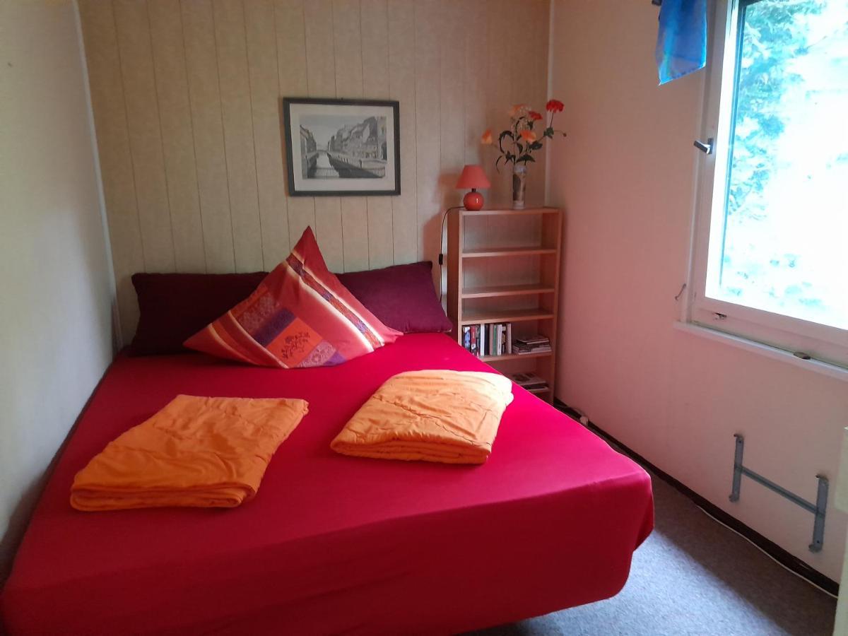 Bungalow Am Waldbad Villa Dahlen Eksteriør billede